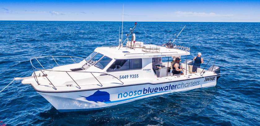 cougar-one-noosa-bluewater-charters